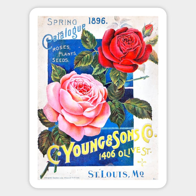 C. Young & Sons Co. Spring Catalogue, 1896 Sticker by WAITE-SMITH VINTAGE ART